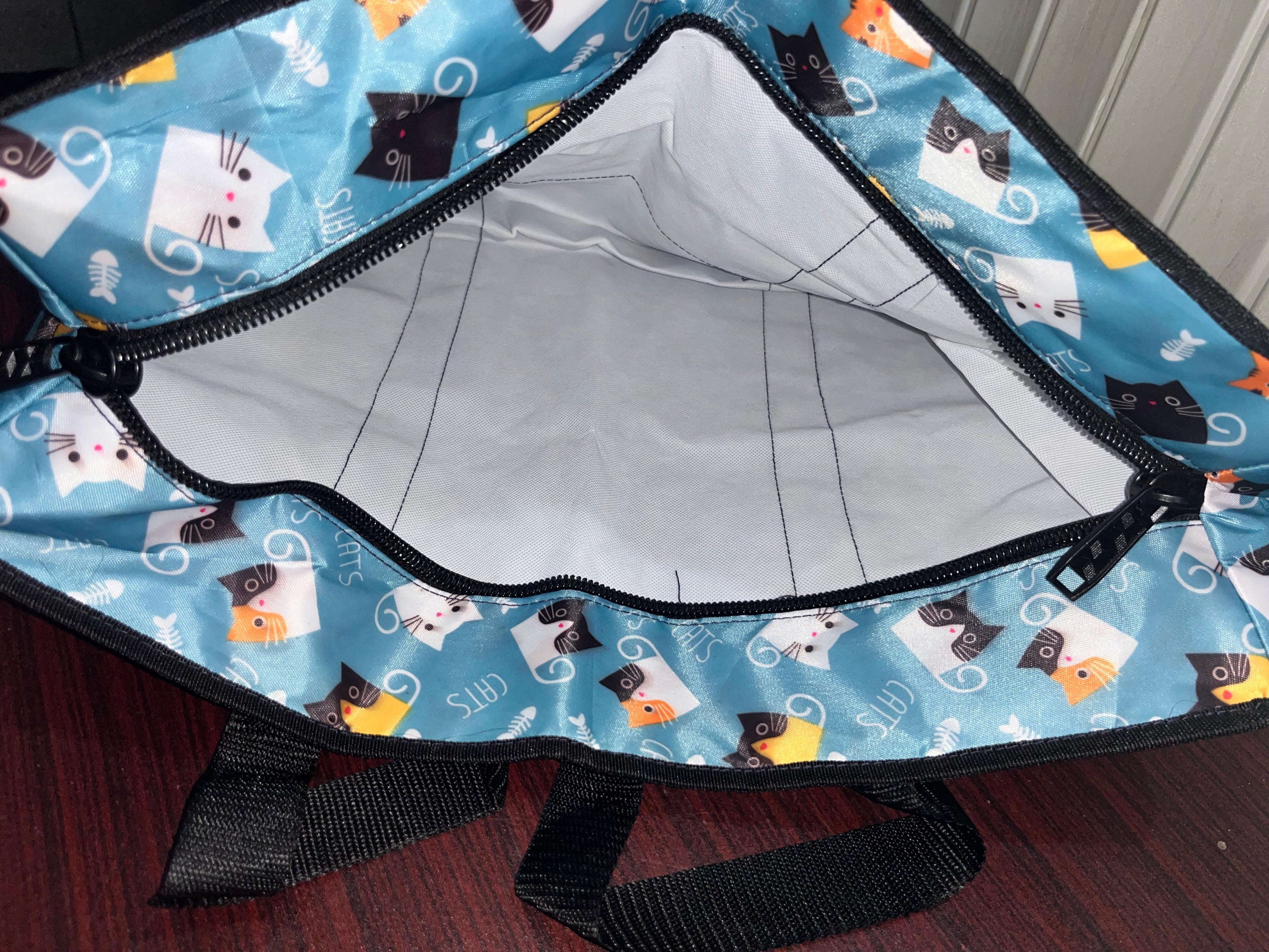 GoAnyWhere_Meow